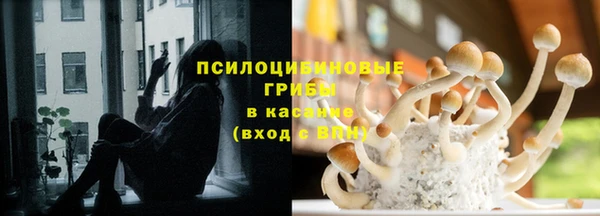 наркотики Щигры