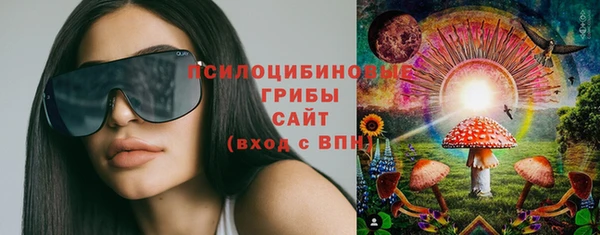 амф Бугульма